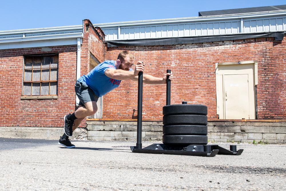 Dog sled fitness sale